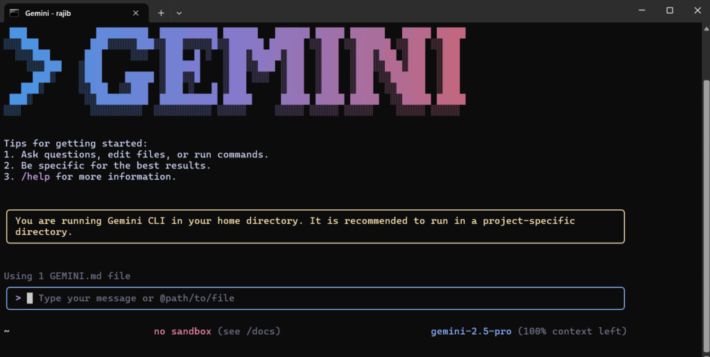 Gemini CLI 