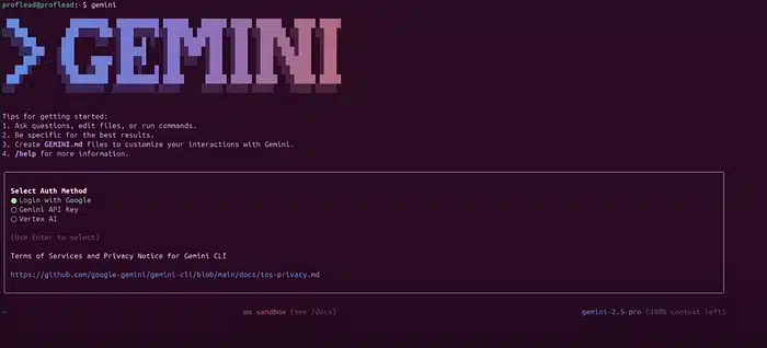 Gemini CLI 
